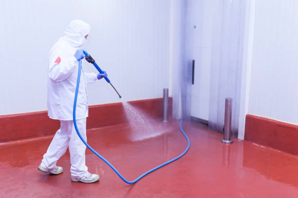 Best Parking Lot and Garage Cleaning  in New Sarpy, LA